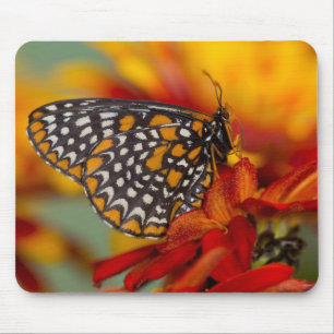 Mousepad Borboleta-de-xadrez-de-Baltimore