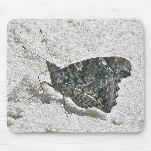 Mousepad Borboleta do Almirante Vermelho nos Itens de Coord (Frente)