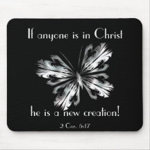 Borboleta do cinza de prata