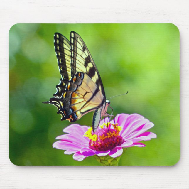 Mousepad Borboleta do Swallowtail de Tigre (Frente)