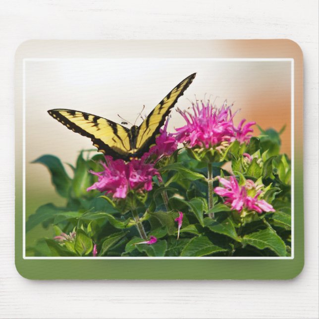 Mousepad Borboleta do Swallowtail do Tigre Oriental (Frente)