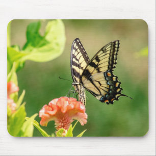 Mousepad Borboleta do Swallowtail do Tigre Oriental