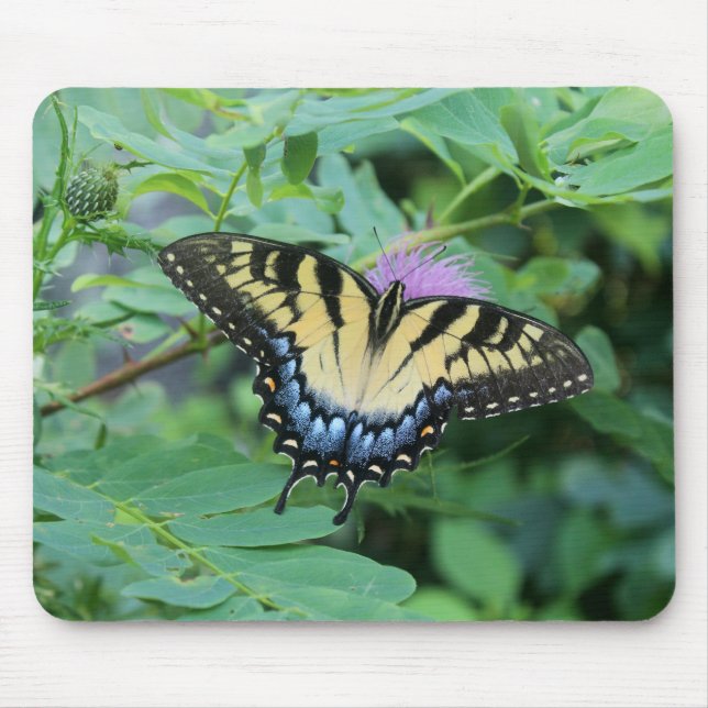 Mousepad Borboleta do Swallowtail do Tigre Oriental (Frente)