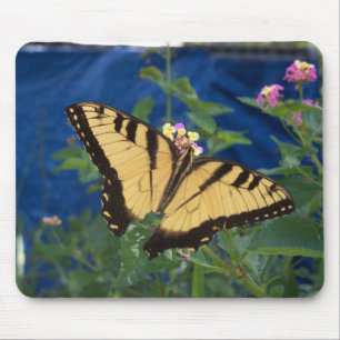 Mousepad Borboleta-do-vento amarela e preta