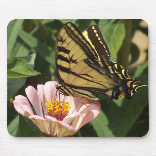 Mousepad Borboleta e Flor (Frente)