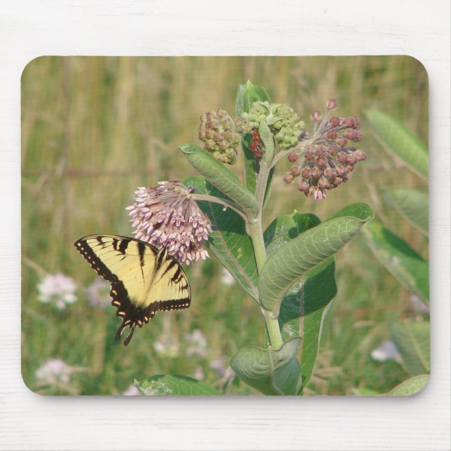 Mousepad Borboleta e Milkweed (Frente)