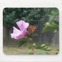 Borboleta e Rosa de Sharon