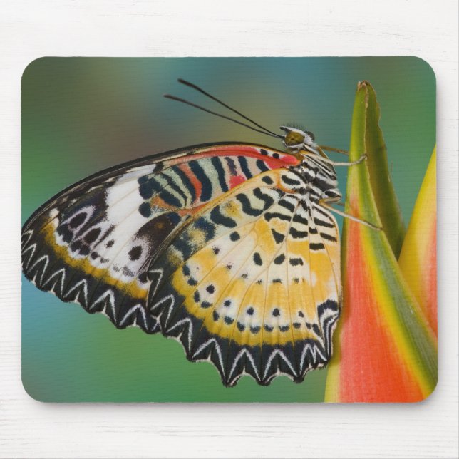 Mousepad Borboleta em Flor Tropical (Frente)