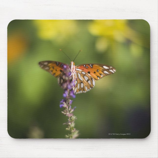 Mousepad Borboleta em flores silvestres (Frente)