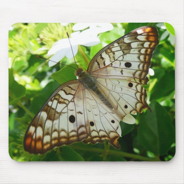 Mousepad Borboleta em Jasmine Fotografia sobre Natureza Tro (Frente)