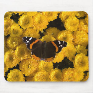 Mousepad Borboleta em madeiras amarelas