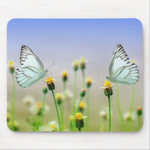 Mousepad borboleta, flor, polinização