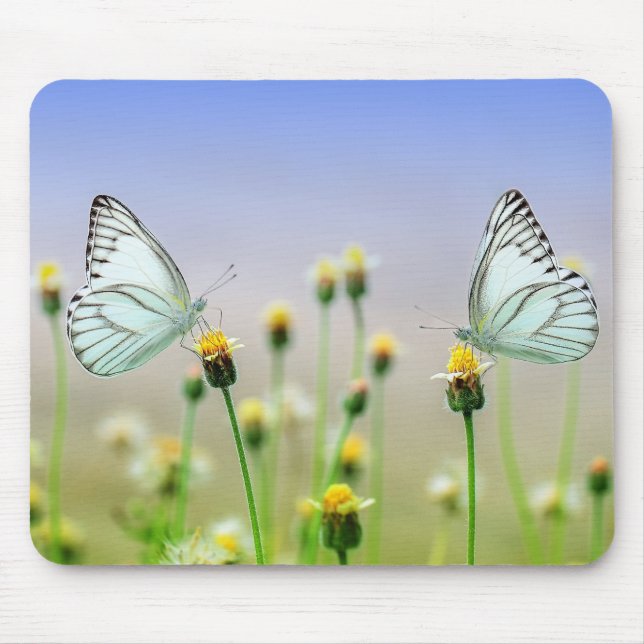 Mousepad borboleta, flor, polinização (Frente)
