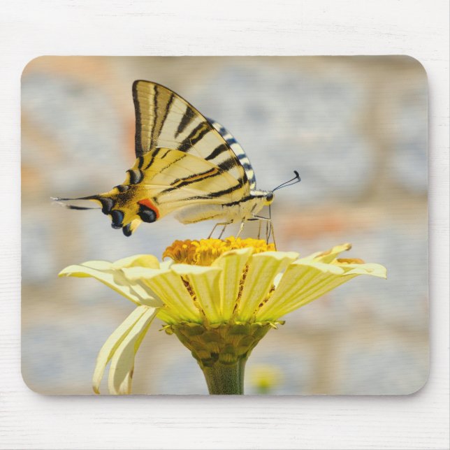 Mousepad borboleta, flores, natureza (Frente)