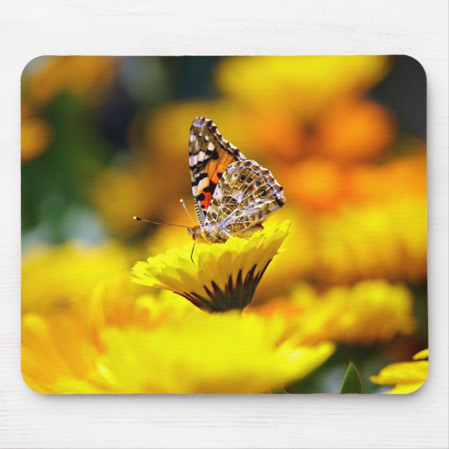 Mousepad borboleta, inseto, jardim (Frente)