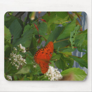 Mousepad Borboleta Laranja e Preta no lago