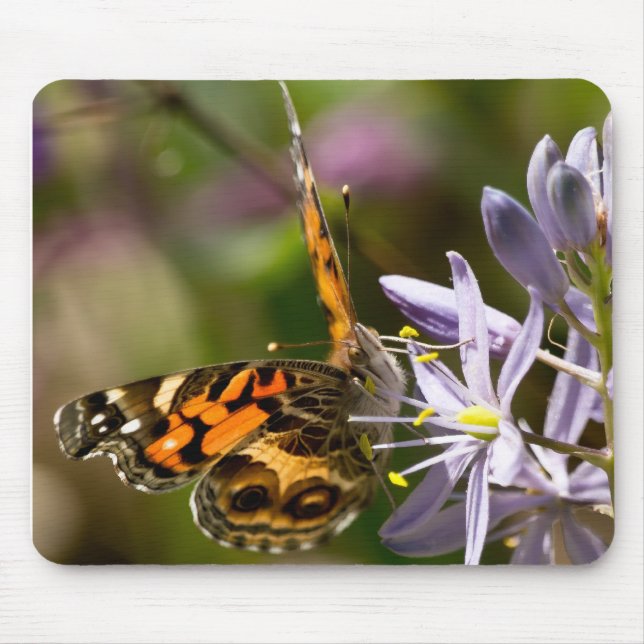 Mousepad Borboleta Laranja no Roupa e presentes de Hyacinth (Frente)