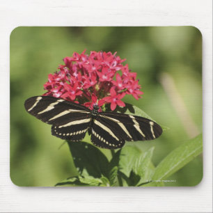Mousepad Borboleta longwing da zebra, Heliconius
