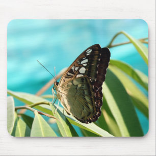 Mousepad Borboleta Marrom Asas Fechadas