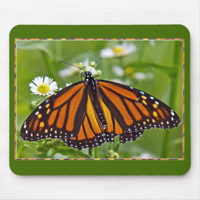 Mousepad Borboleta Monarca (Frente)