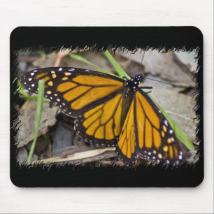 Mousepad Borboleta Monarca