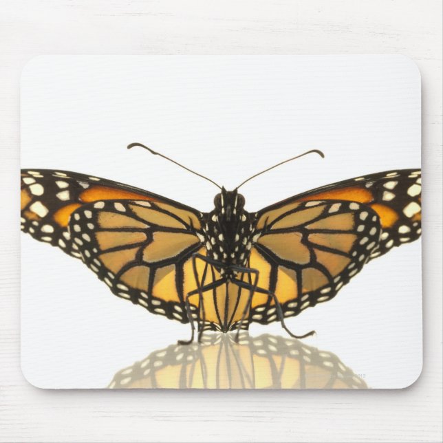 Mousepad Borboleta monarca com asas espalhadas (Frente)
