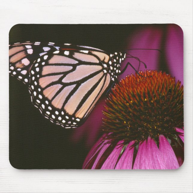 Mousepad Borboleta Monarca e Flor Roxo (Frente)