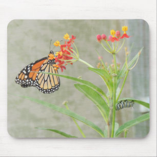 Mousepad Borboleta Monarca e lagarta