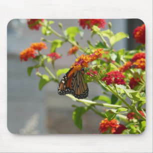 Mousepad Borboleta Monarca em Borboleta Vermelha Bush
