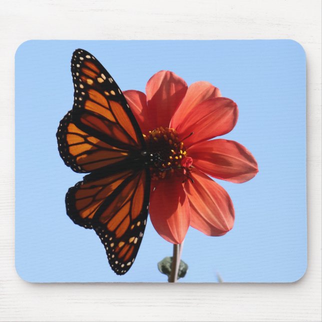 Mousepad Borboleta Monarca em Dahlia (Frente)