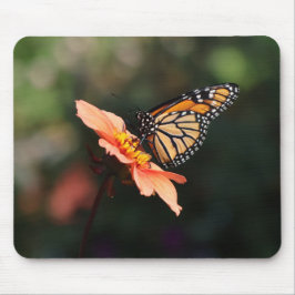 Mousepad Borboleta Monarca em Dahlia