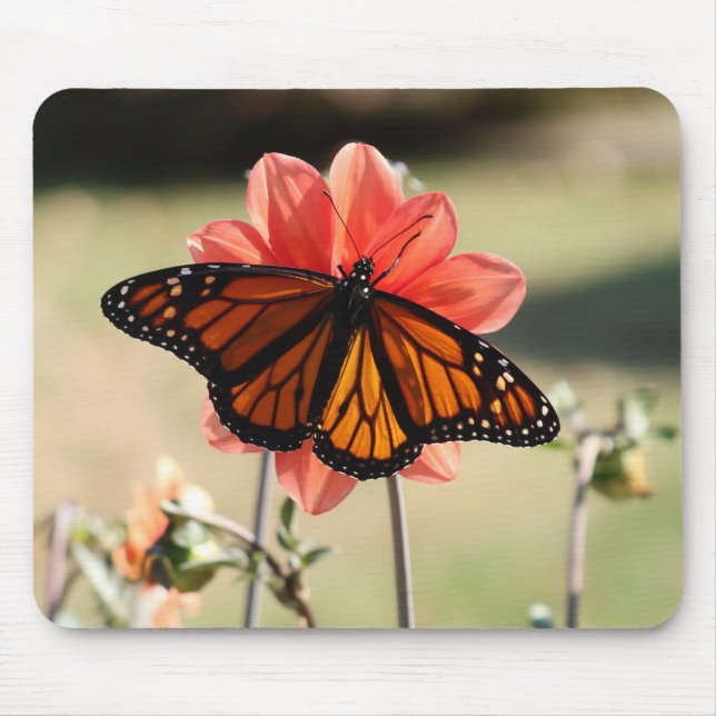 Mousepad Borboleta Monarca em Dahlia (Frente)