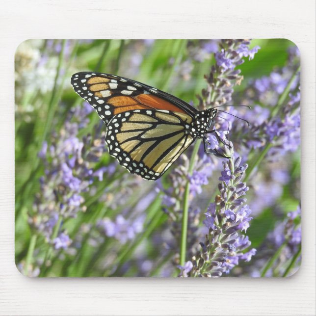 Mousepad Borboleta Monarca em Flores de Lavanda (Frente)