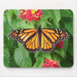 Mousepad Borboleta Monarca em Lantana