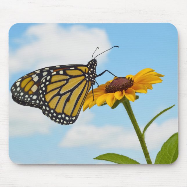 Mousepad Borboleta Monarca em uma Susan Olhada Negra (Frente)