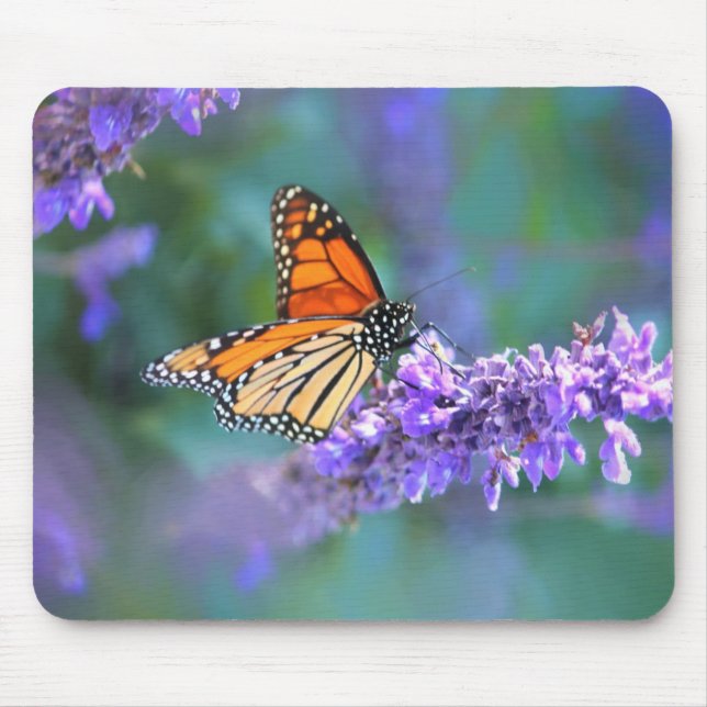 Mousepad Borboleta Monarca na Flor Lilás Roxo (Frente)