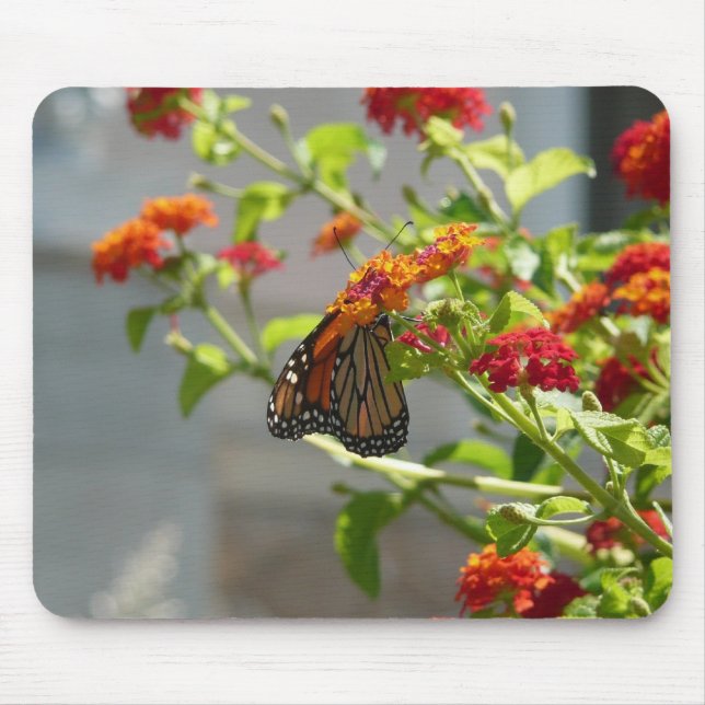 Mousepad Borboleta Monarca no Arbusto de Borboleta Vermelho (Frente)