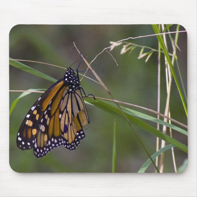 Mousepad Borboleta Monarch na Grama (Frente)