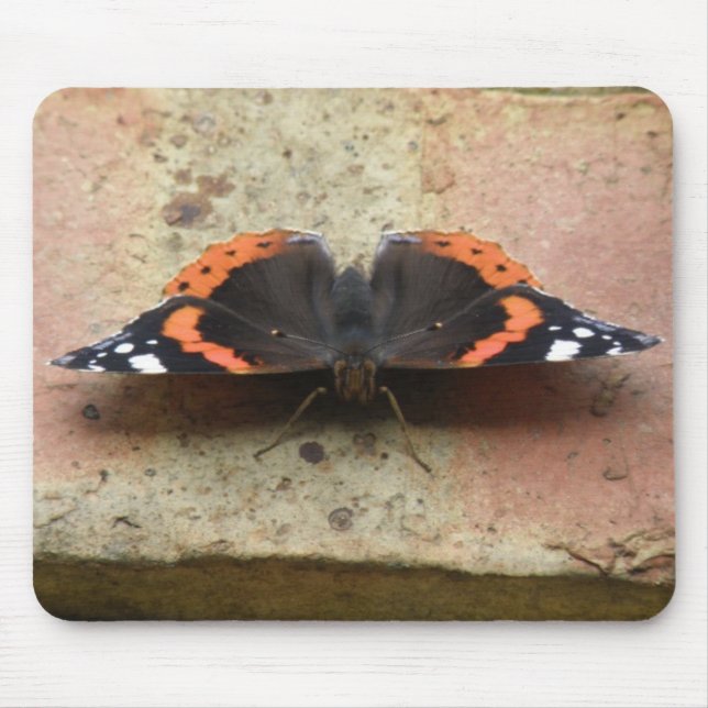 Mousepad Borboleta-mosca Vermelha Almirante (Frente)