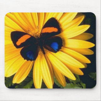Mousepad Borboleta na margarida amarela