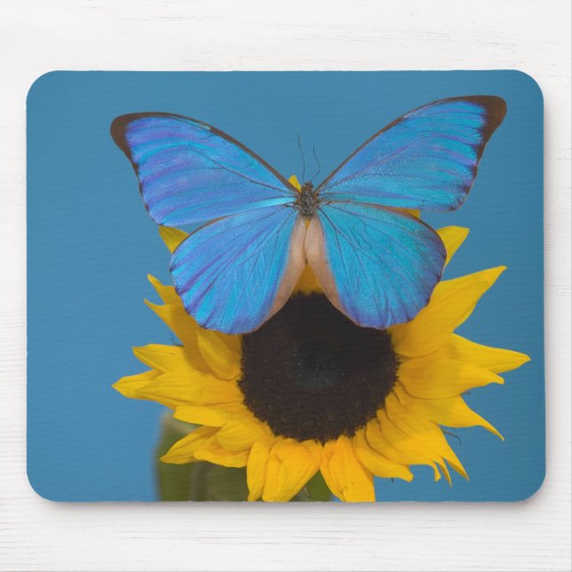 Mousepad Borboleta no Girassol (Frente)