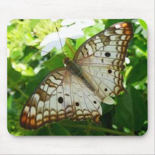 Mousepad Borboleta no Jasmin Flor Tropical Fotografia da Na