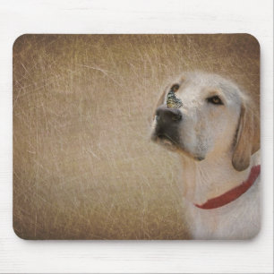 Mousepad borboleta no nariz de Labrador