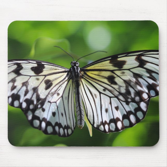 Mousepad Borboleta Paperkite (Frente)