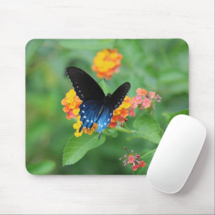Mousepad Borboleta-pípebra/borboleta-pântana azul sobre u