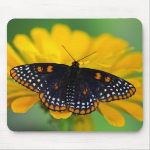 Mousepad Borboleta Ponto Xadrez de Baltimore