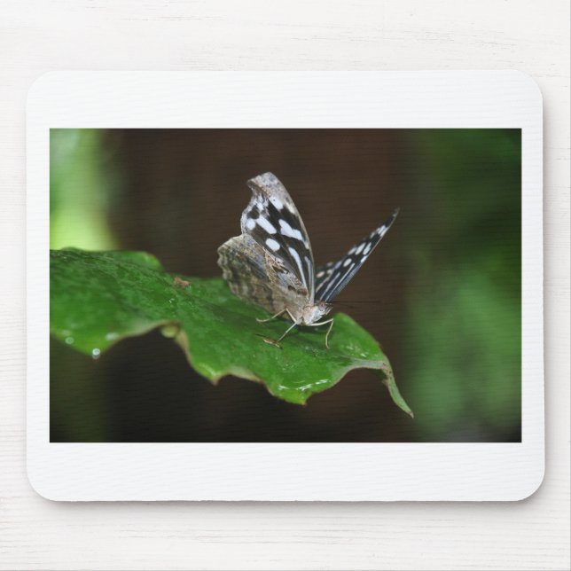 Mousepad Borboleta Preta e Branca (Frente)