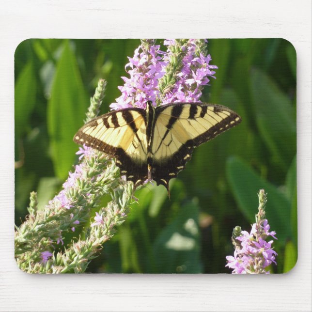 Mousepad Borboleta Rabo de Andorinha em Flores Silvestres R (Frente)