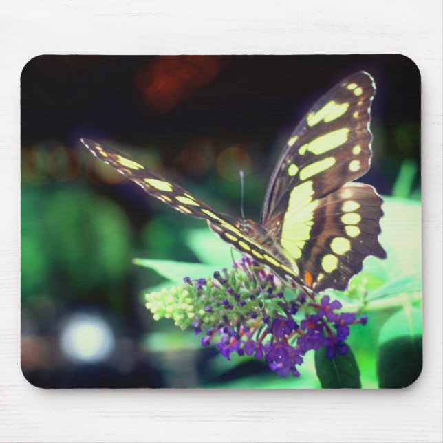 Mousepad Borboleta Suave Na Natureza Da Flor (Frente)
