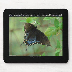 Mousepad Borboleta Swallowtail do Parque Nacional dos Prima